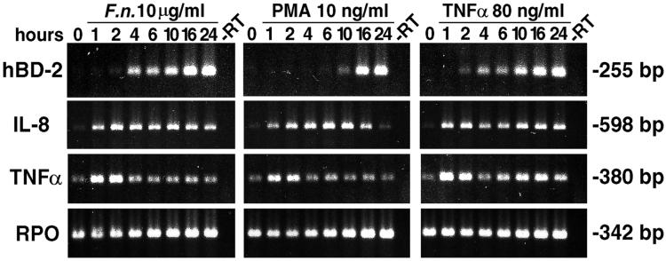 FIG. 7