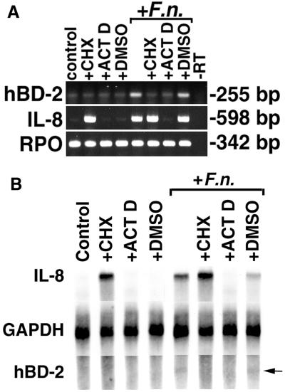 FIG. 9