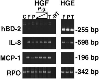 FIG. 6