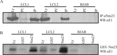 FIG. 3.