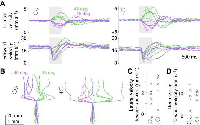 Fig. 9.