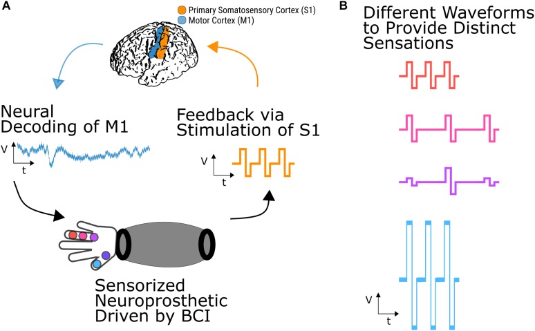 FIGURE 2