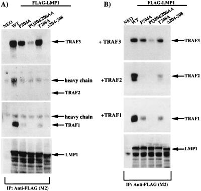 FIG. 6