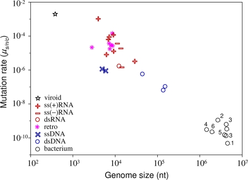 FIG. 2.