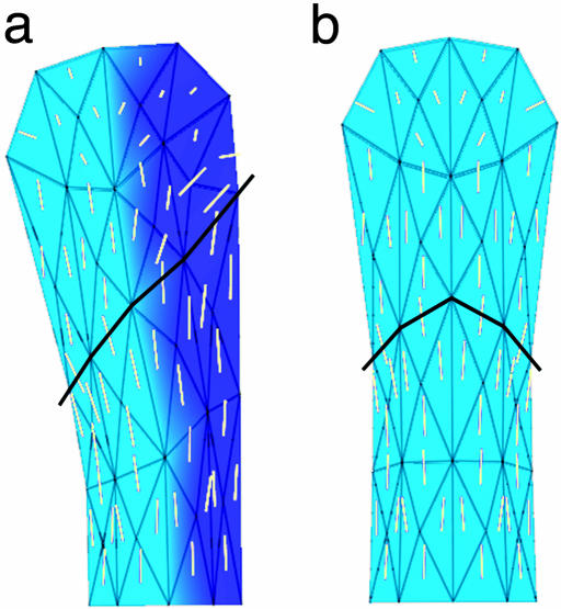 Fig. 13.