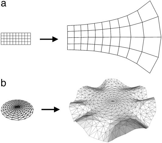 Fig. 7.