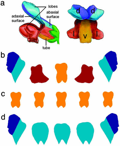 Fig. 9.