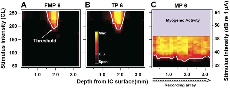 Fig. 3.