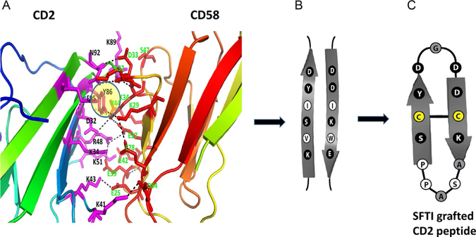 Fig. 18