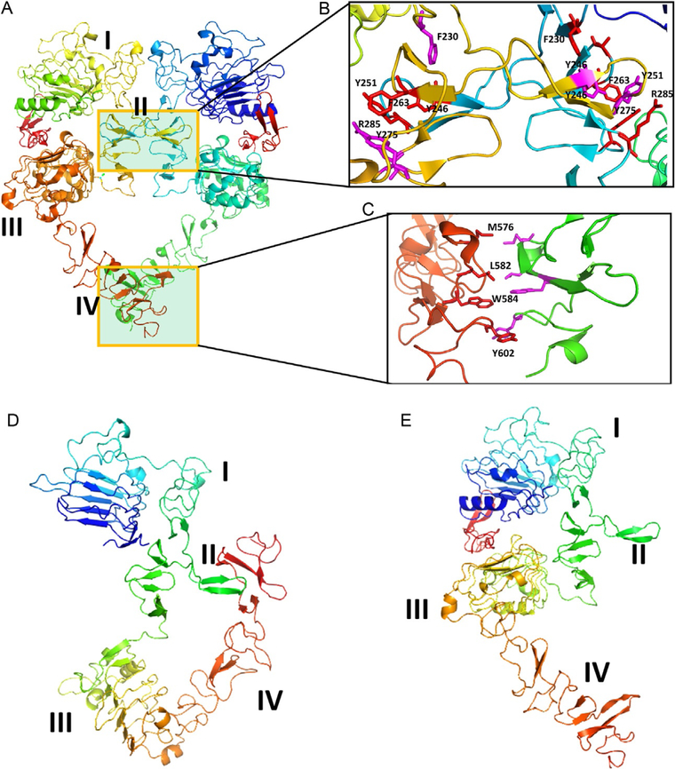 Fig. 11