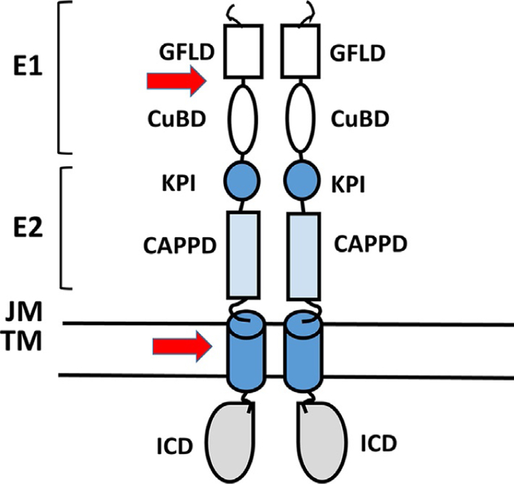 Fig. 10