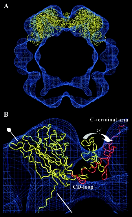 FIG. 6.