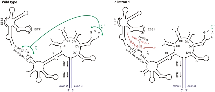 Figure 7.