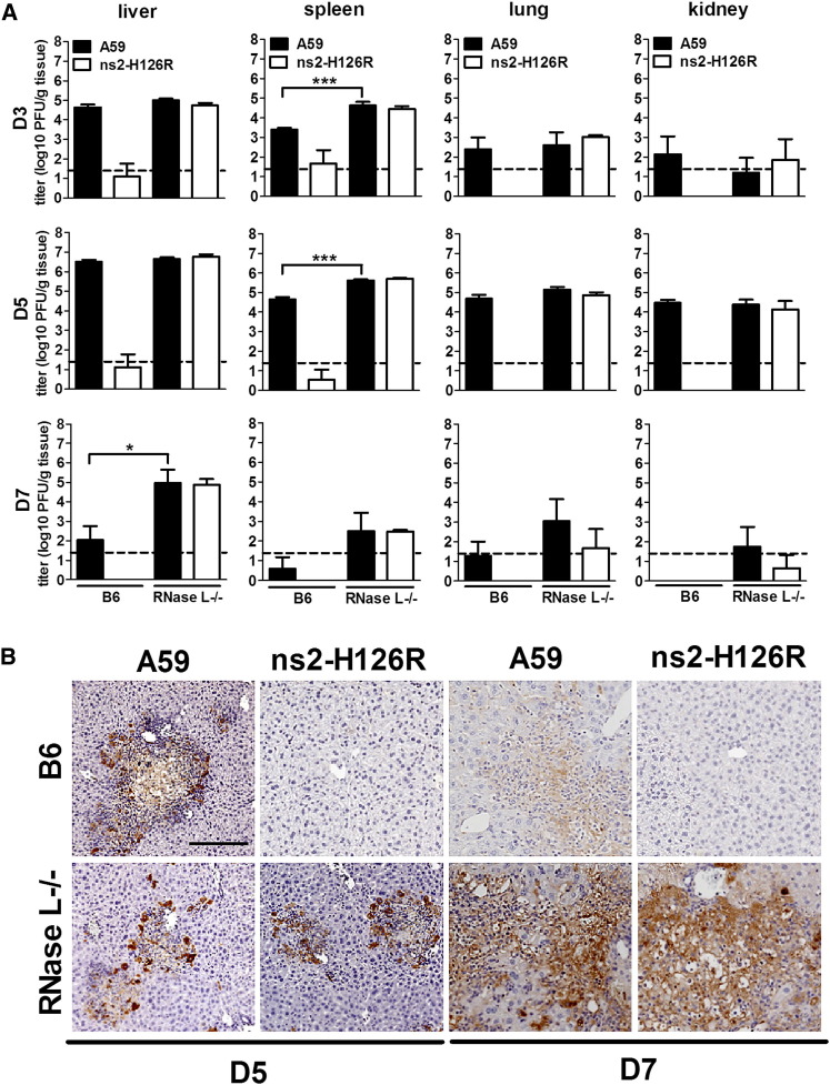 Figure 6