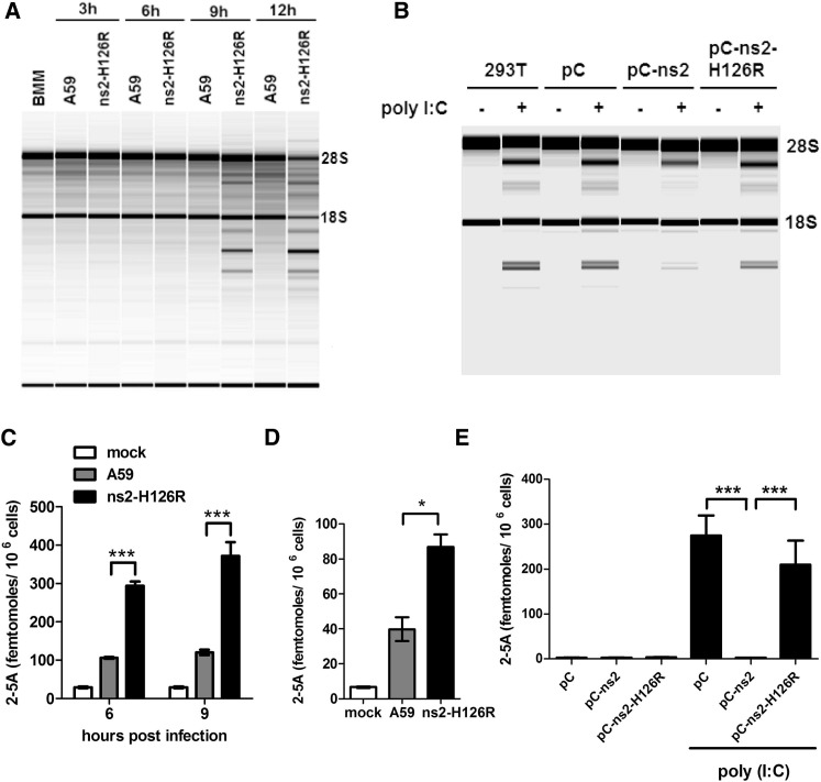 Figure 4