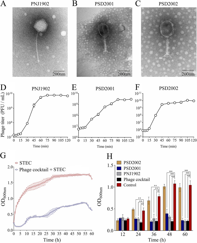 FIG 1