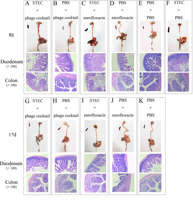 FIG 3