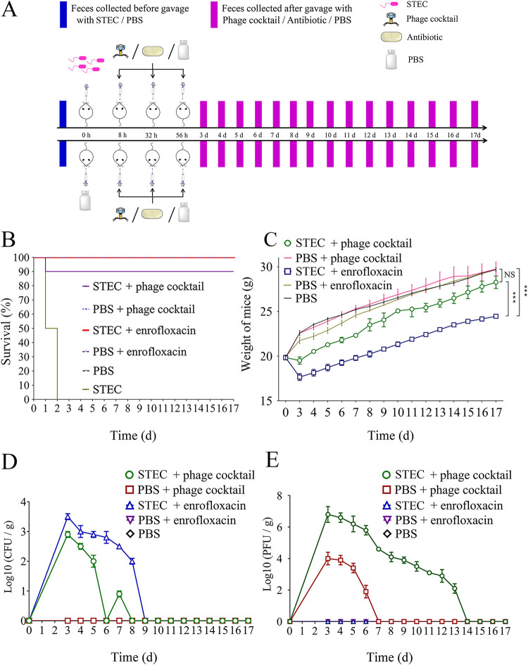 FIG 2