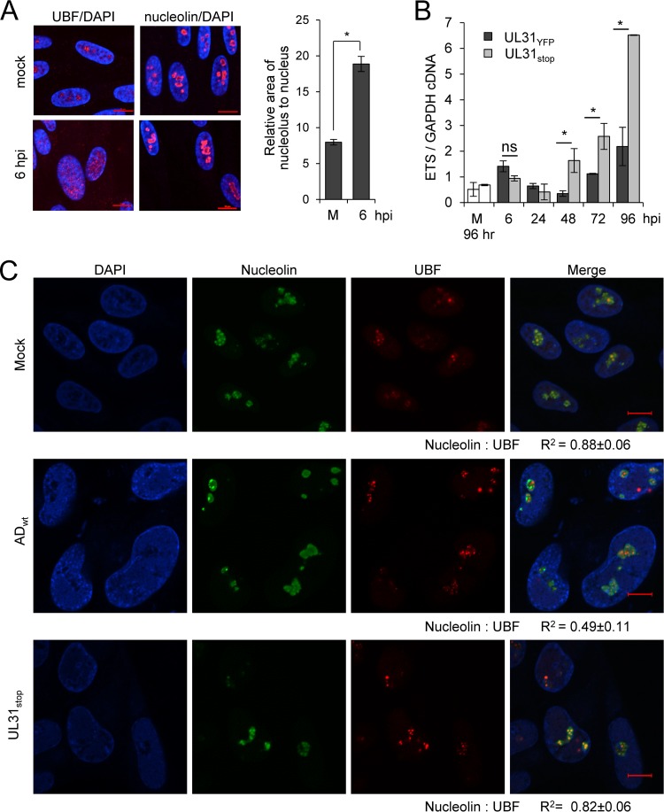 FIG 6