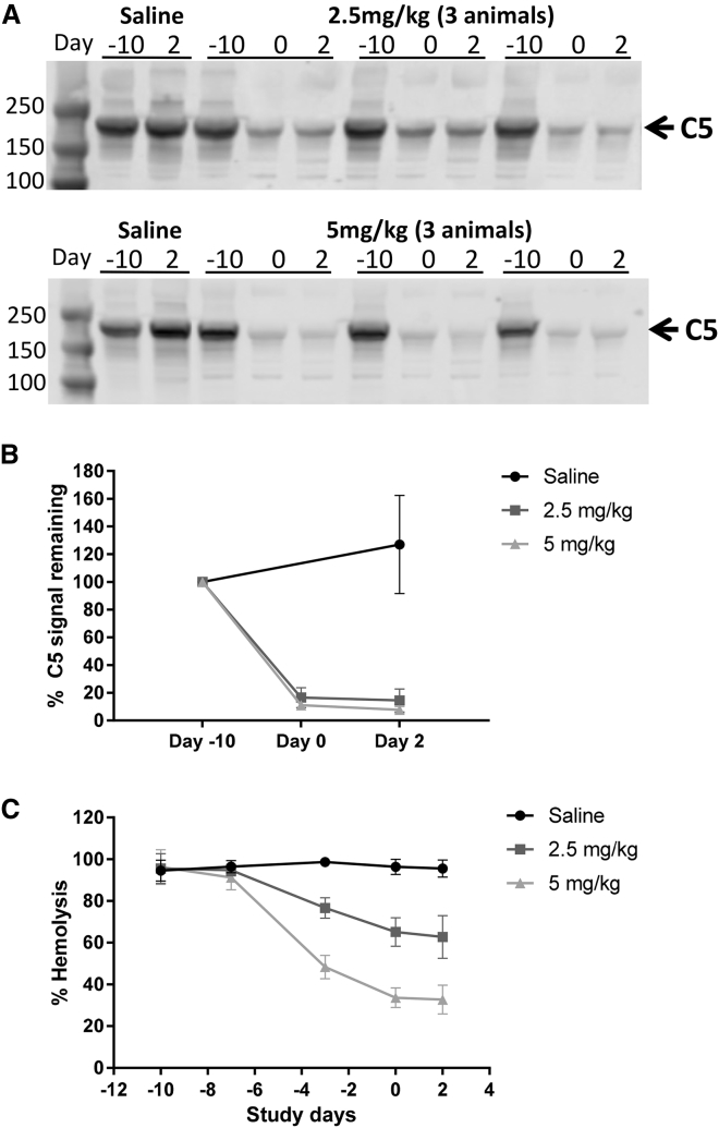 Figure 5