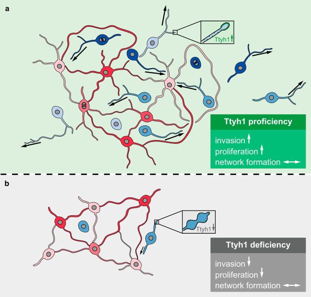 Figure 10.