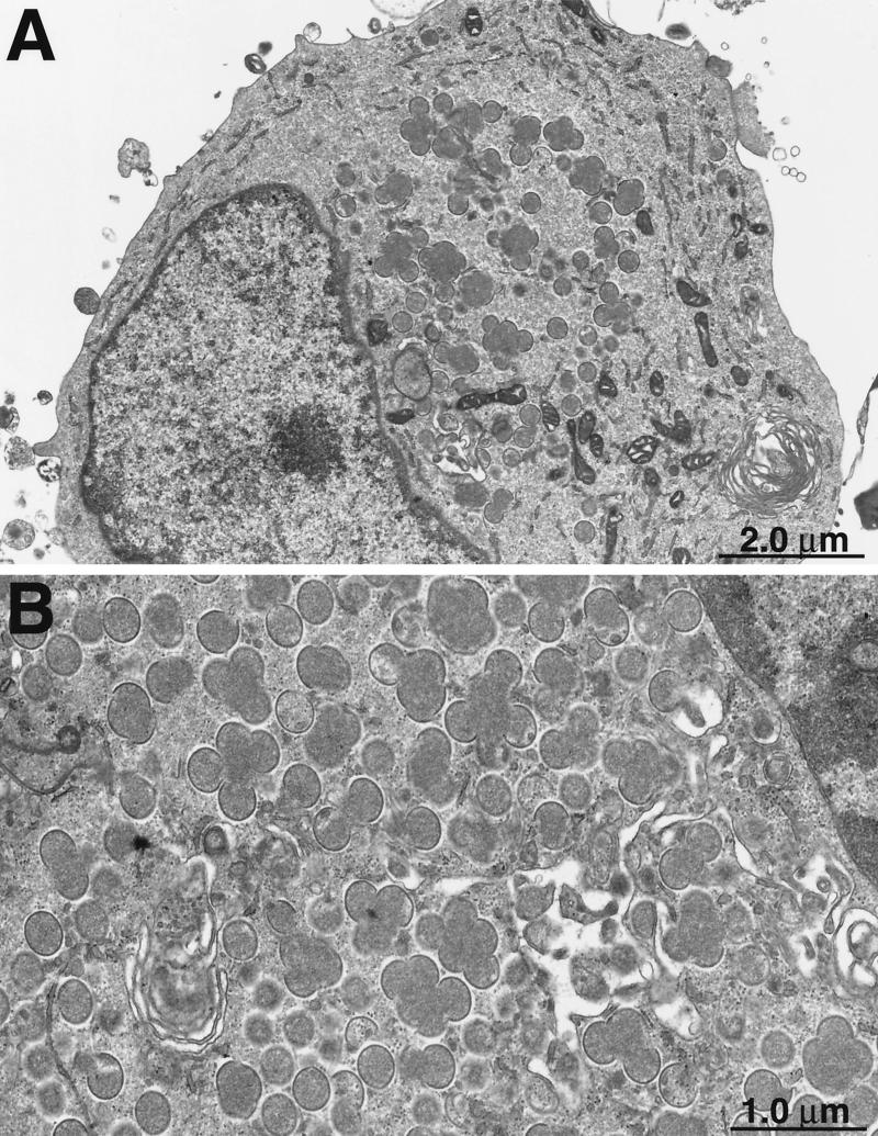 FIG. 10