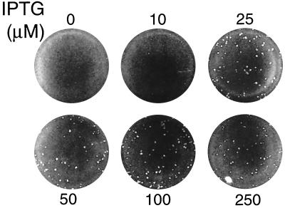 FIG. 6