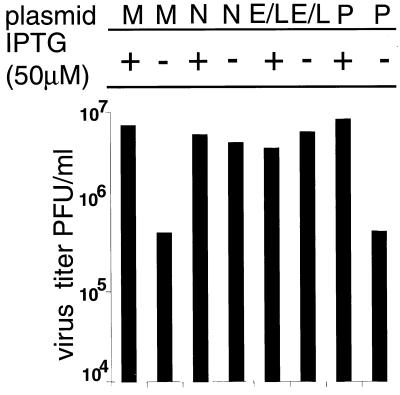 FIG. 8