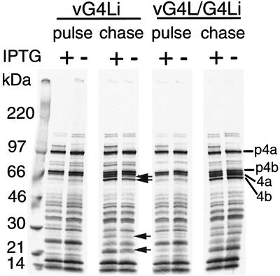 FIG. 9