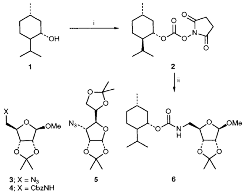 Scheme 1,