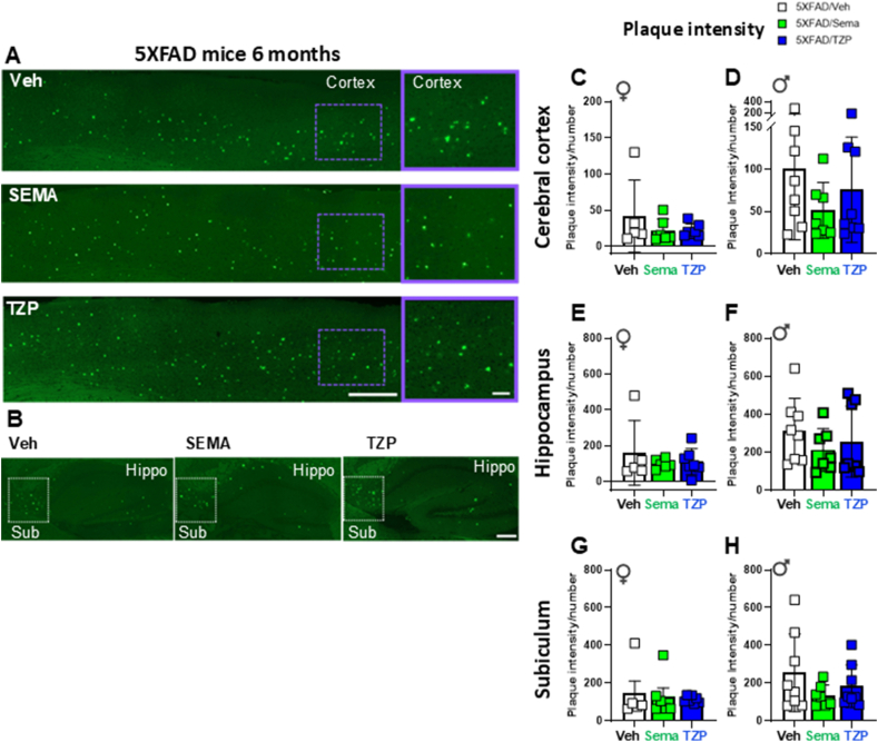 Figure 6