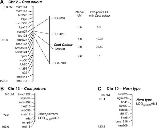 Figure 4.—