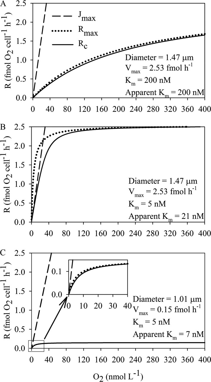 FIG 8