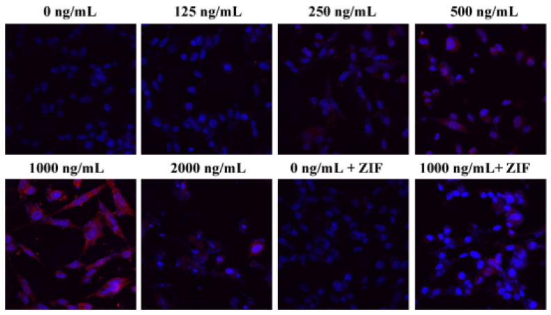 Figure 6