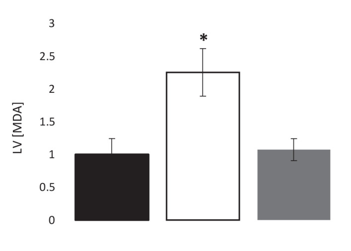 Figure 2—figure supplement 2.