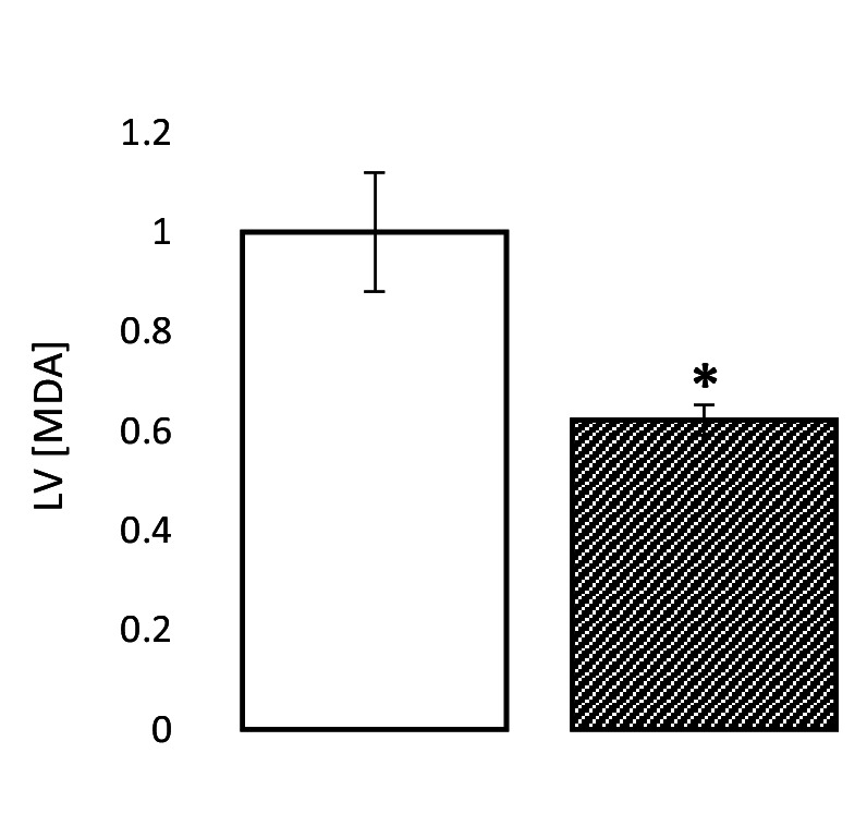 Figure 6—figure supplement 2.