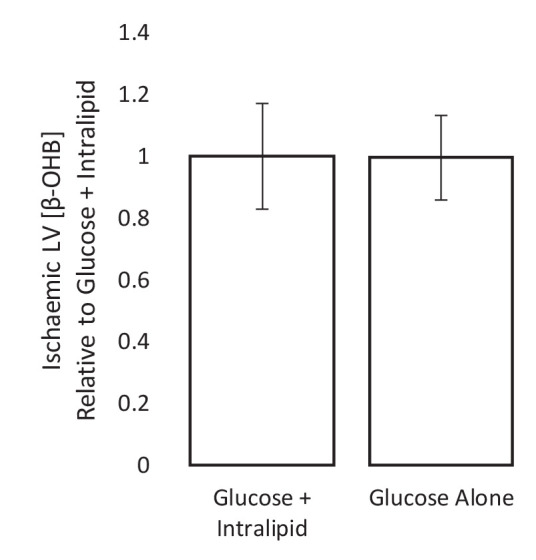 Figure 2—figure supplement 3.