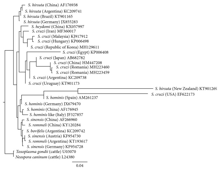 Figure 2