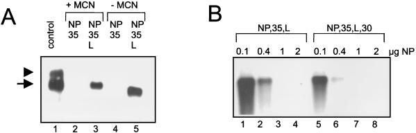 FIG. 5