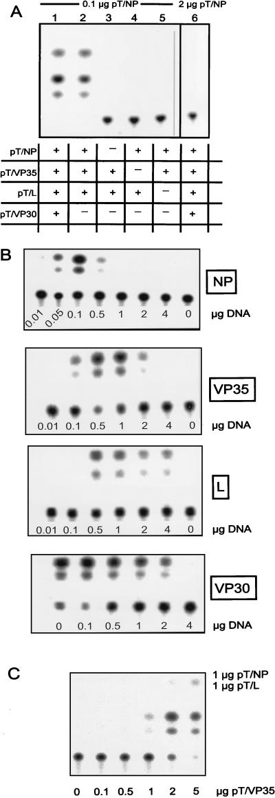 FIG. 3