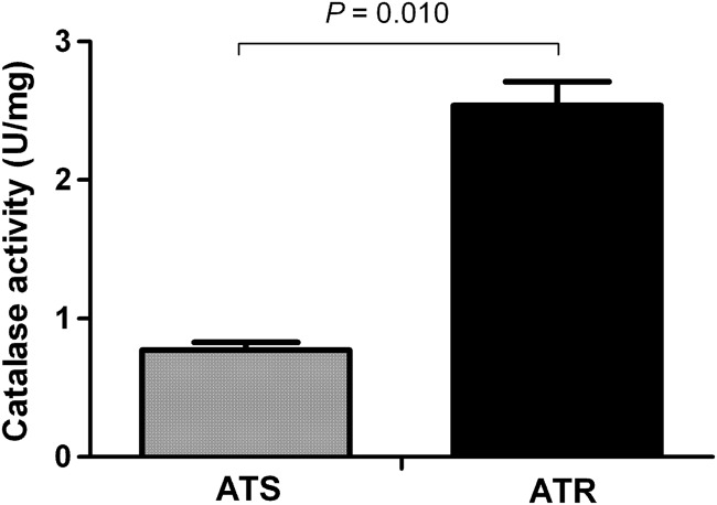 Fig 4