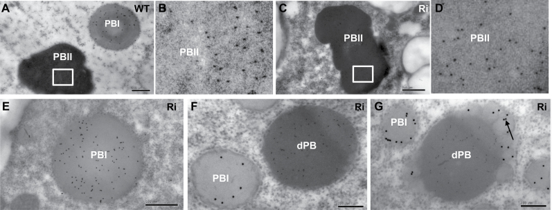 Fig. 9.