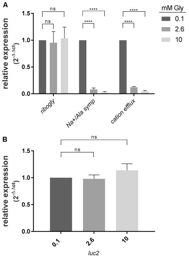 FIGURE 3