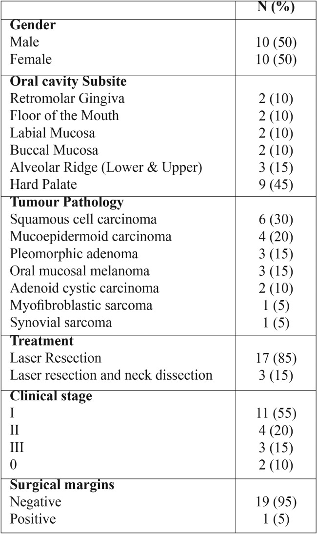 graphic file with name medoral-24-e84-t001.jpg