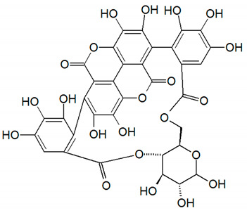 graphic file with name nutrients-14-01665-i004.jpg