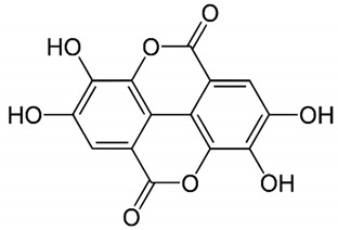 graphic file with name nutrients-14-01665-i002.jpg