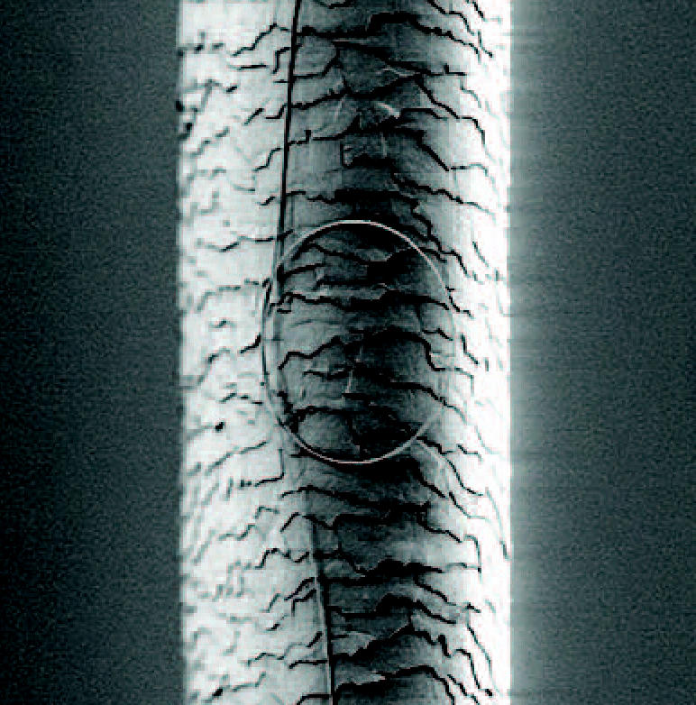 For comparison’s sake. A micrograph shows a nanowire curled into a loop in front of a human hair. Nanowires can be as slender as 50 nanometers, about one-thousandth the width of a hair.