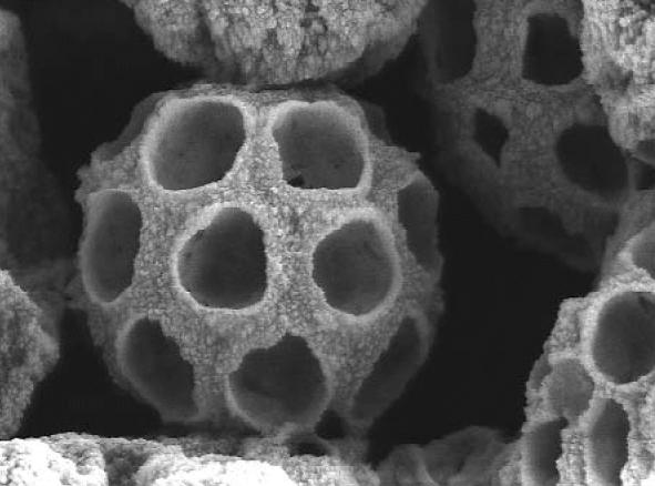 Tiny beach umbrellas. A titanium dioxide microsphere (approximately 1–50 microns in diameter) with closed-packed spherical inclusions functions in sunscreens as a small “photonic crystallite,” scattering light very effectively.