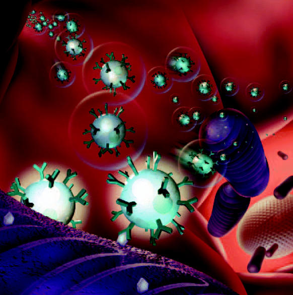 Probing insights. Nanoprobes studded with molecules that bind ions such as zinc, calcium, and potassium are injected into cells to reveal the patterns of ion exchange that make cells function. Computer models are used to interpret the fluorescent signatures probes emit when they capture a target ion.