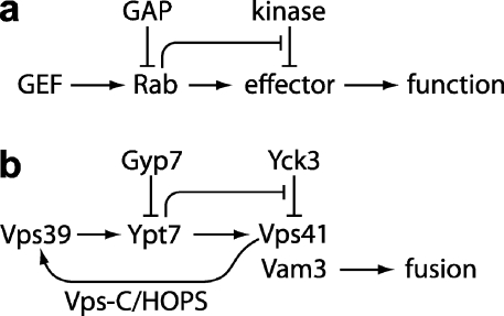 Figure 7.